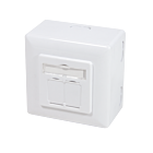 Cat. 5e STP, Anschlußdose Aufputz, 2 x RJ45, Weiß