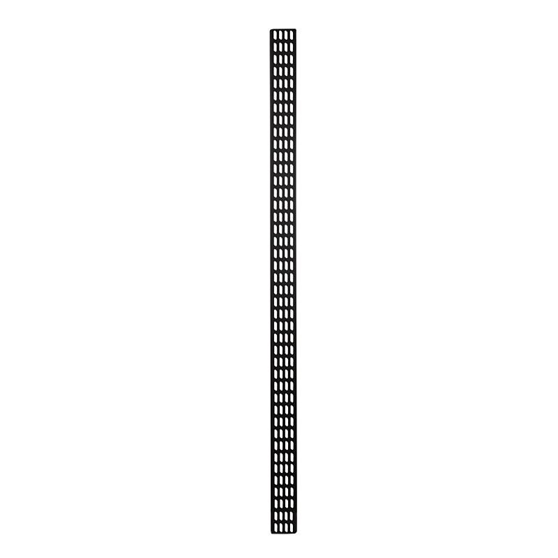 42 HE vertikale Kabelführungsleiste - 10 cm breit